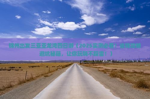 锦州出发三亚亚龙湾四日游