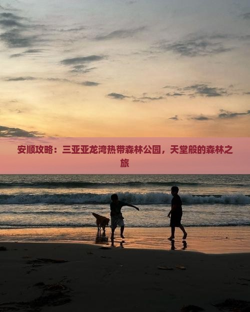 安顺去三亚亚龙湾热带森林公园旅游网红地点