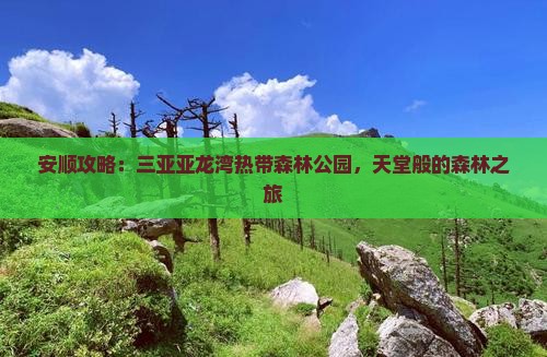 安顺去三亚亚龙湾热带森林公园旅游网红地点