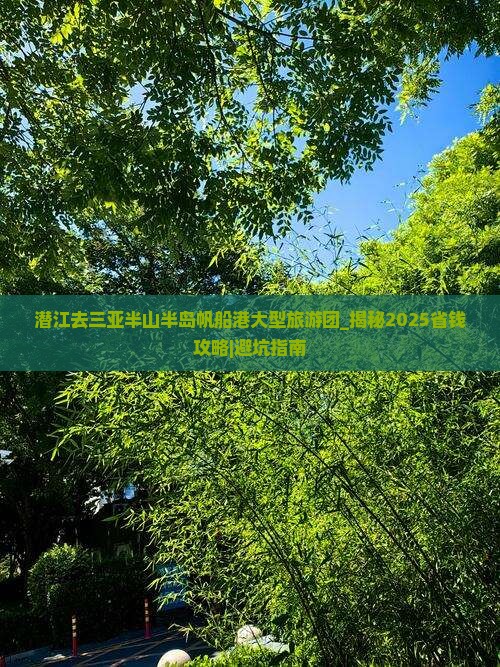 潜江去三亚半山半岛帆船港大型旅游团