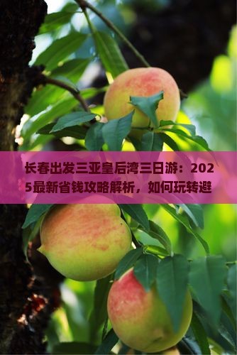 长春出发三亚皇后湾三日游