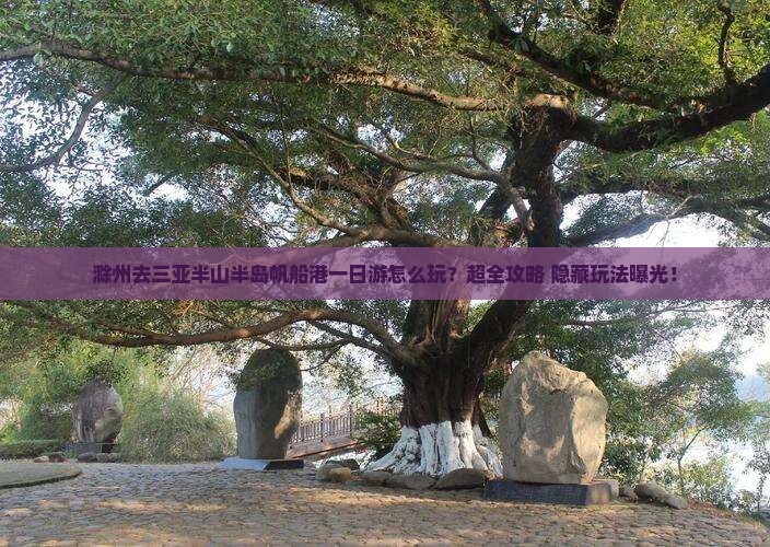 滁州去三亚半山半岛帆船港一日游