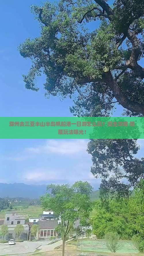 滁州去三亚半山半岛帆船港一日游