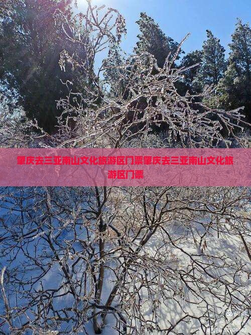 肇庆去三亚南山文化旅游区门票