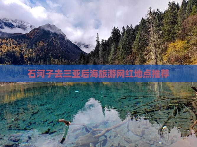 石河子去三亚后海旅游网红地点