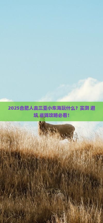 合肥去三亚小东海哪里玩