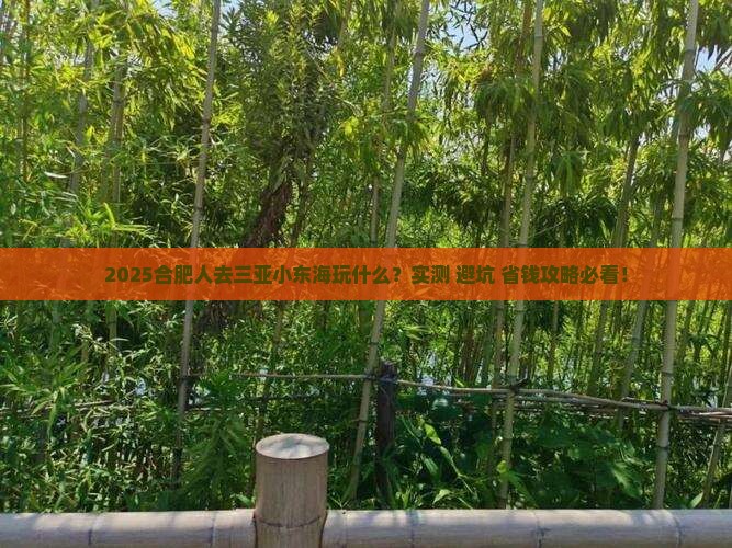 合肥去三亚小东海哪里玩