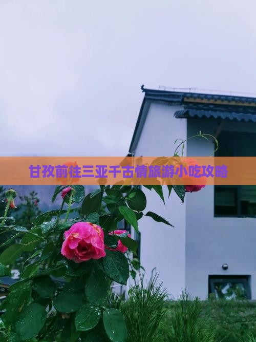 甘孜前往三亚千古情旅游小吃