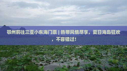 鄂州前往三亚小东海门票