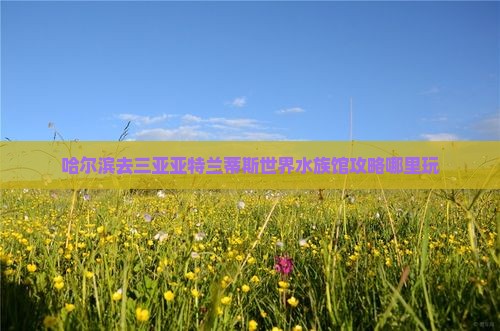 哈尔滨去三亚亚特兰蒂斯水族馆哪里玩