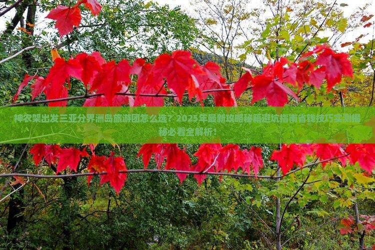 神农架出发三亚分界洲岛大型旅游团