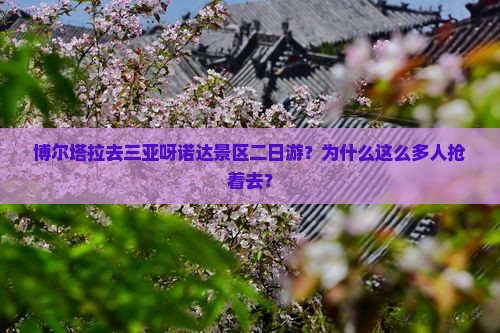 博尔塔拉去三亚呀诺达景区二日游