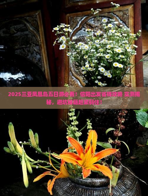 信阳出发三亚凤凰岛五日游