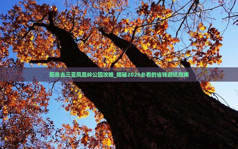 阳泉去三亚凤凰岭公园攻略