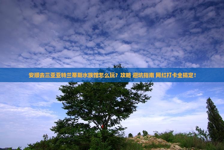 安顺前往三亚亚特兰蒂斯水族馆攻略