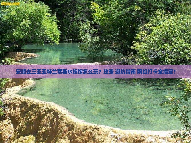 安顺前往三亚亚特兰蒂斯水族馆攻略