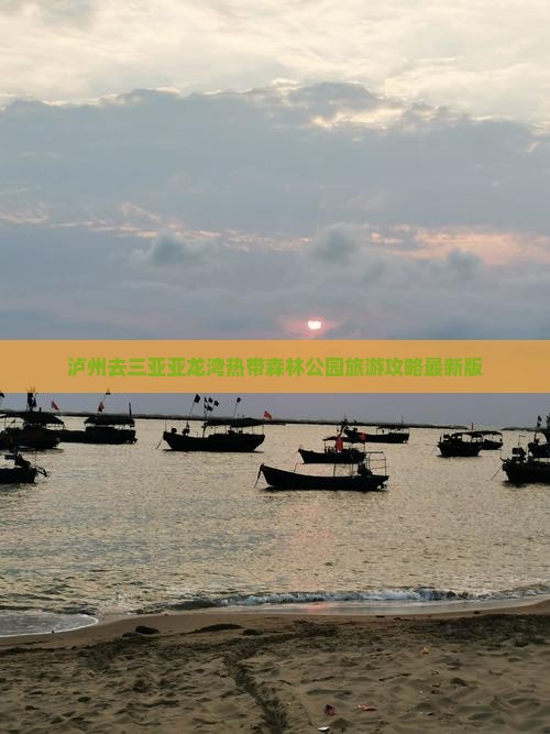 泸州去三亚亚龙湾热带森林公园旅游