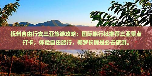 抚州去三亚椰梦长廊旅游打卡点