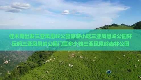 佳木斯出发三亚凤凰岭公园旅游小吃