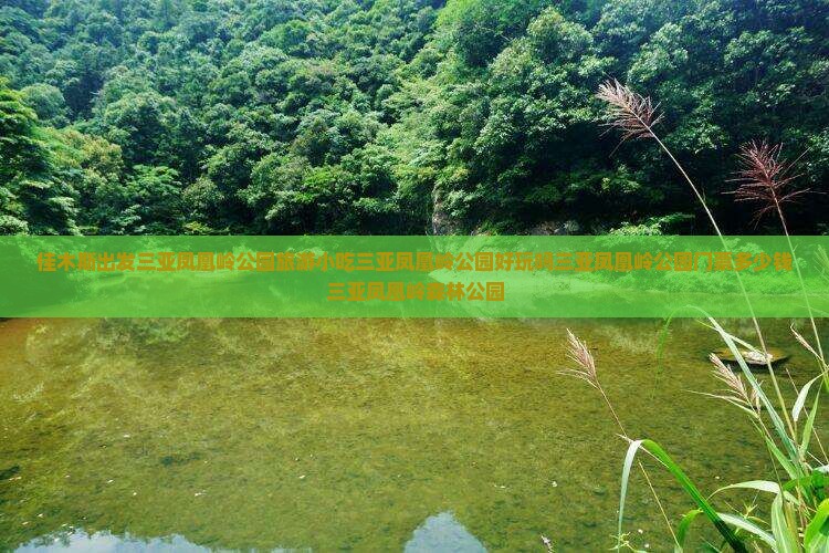 佳木斯出发三亚凤凰岭公园旅游小吃