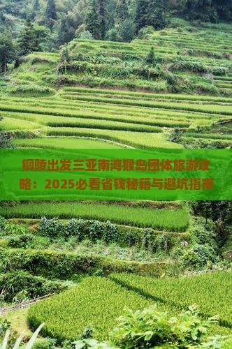 铜陵出发三亚南湾猴岛团体旅游
