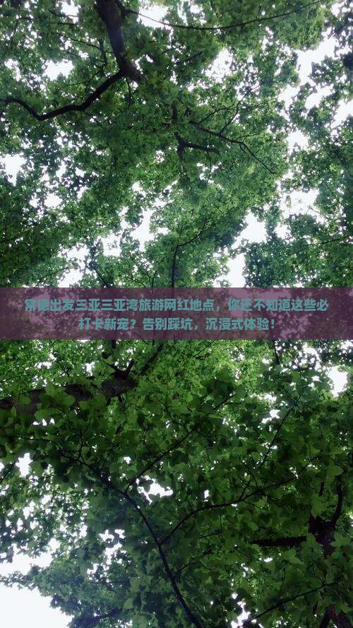 常德出发三亚三亚湾旅游网红地点