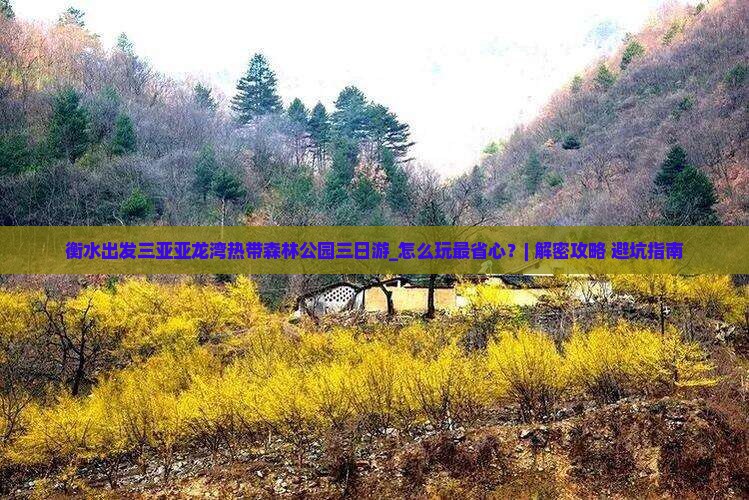 衡水出发三亚亚龙湾热带森林公园三日游