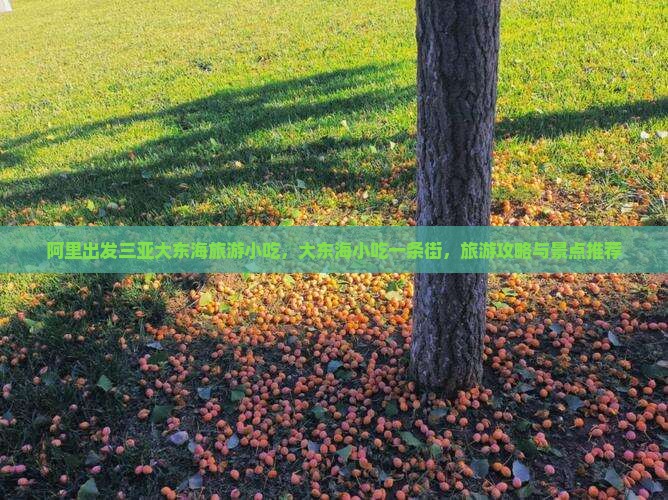 阿里出发三亚大东海旅游小吃