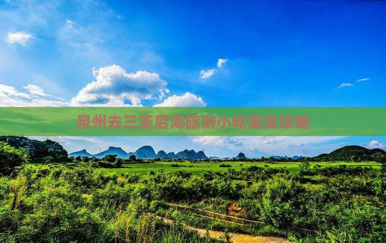泉州去三亚后海旅游小吃