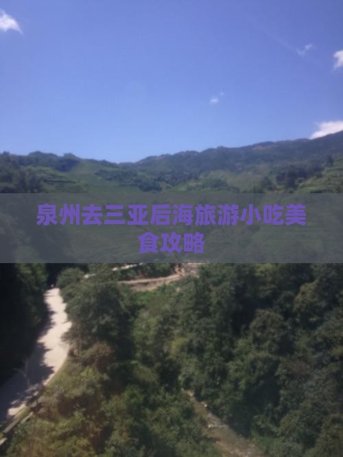泉州去三亚后海旅游小吃
