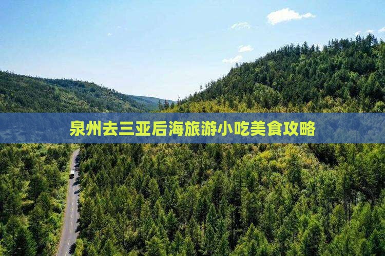 泉州去三亚后海旅游小吃