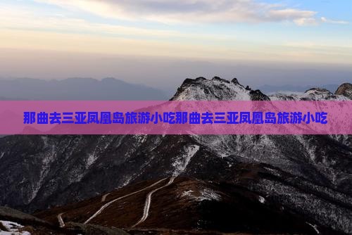 那曲去三亚凤凰岛旅游小吃