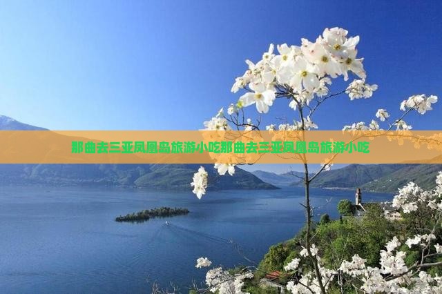 那曲去三亚凤凰岛旅游小吃