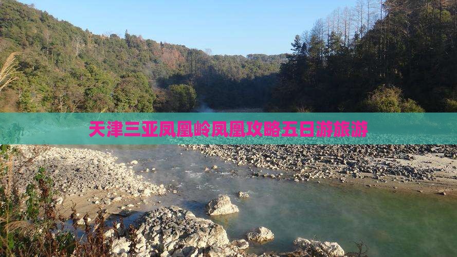 天津前往三亚凤凰岭公园五日游