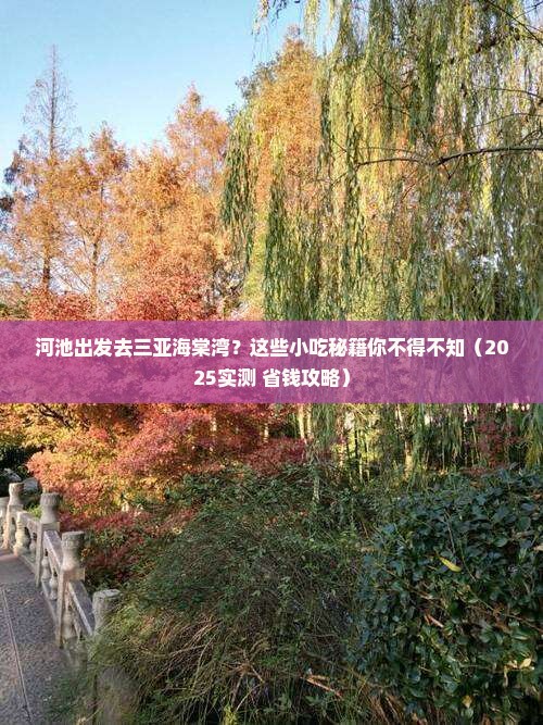 河池前往三亚海棠湾旅游小吃