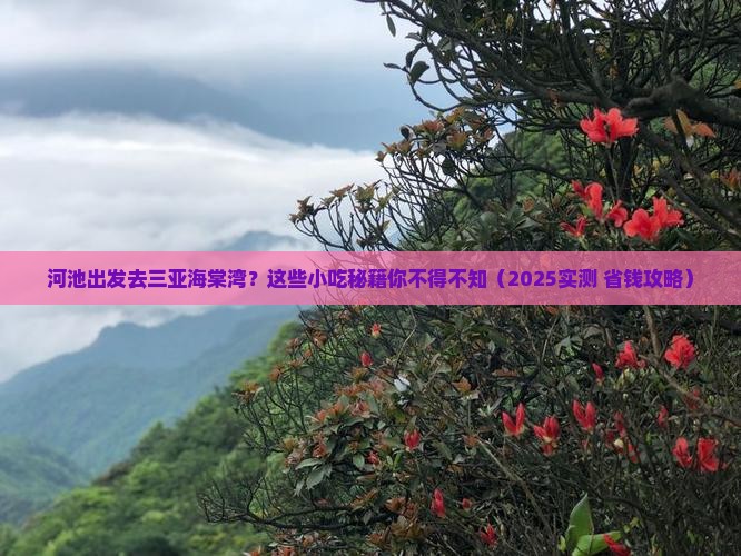 河池前往三亚海棠湾旅游小吃