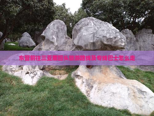 东营前往三亚鹿回头旅游