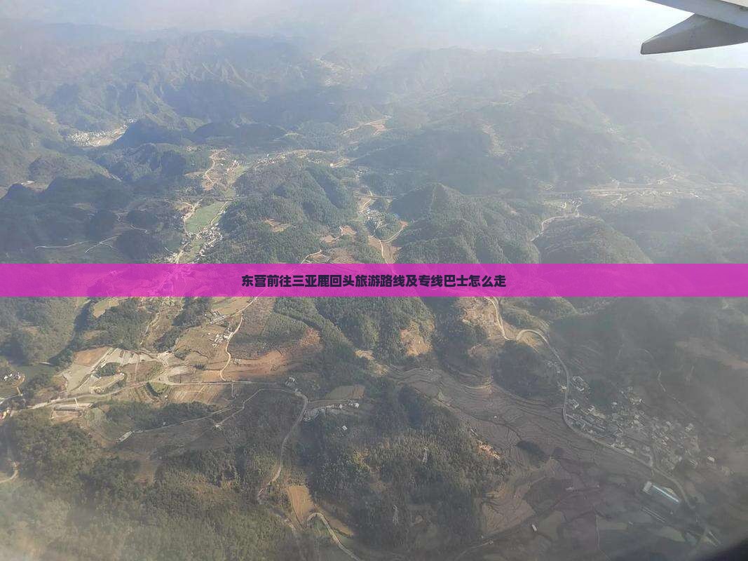 东营前往三亚鹿回头旅游