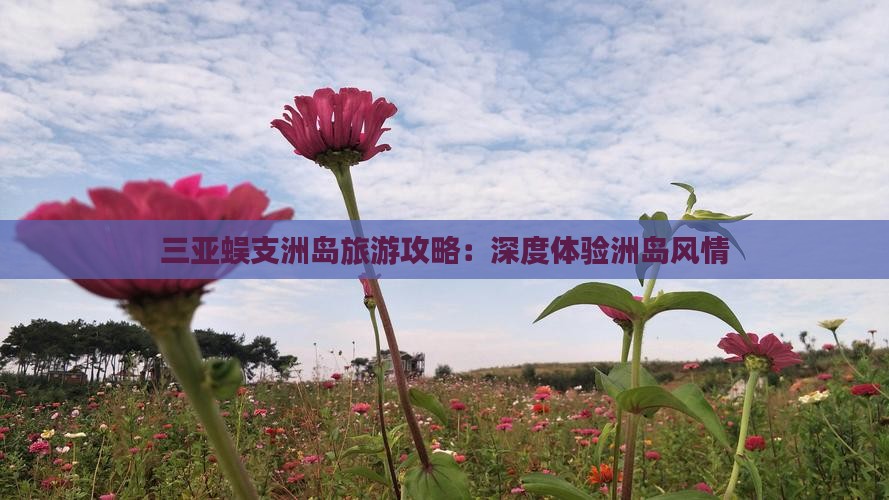 普洱去三亚蜈支洲岛攻略
