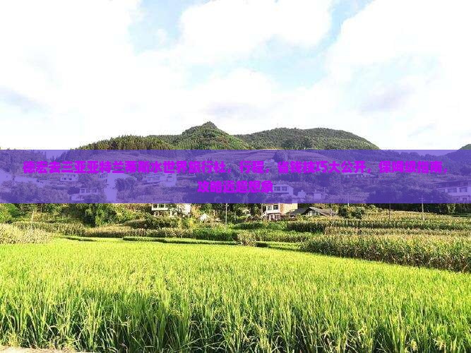 德宏去三亚亚特兰蒂斯水世界旅行社