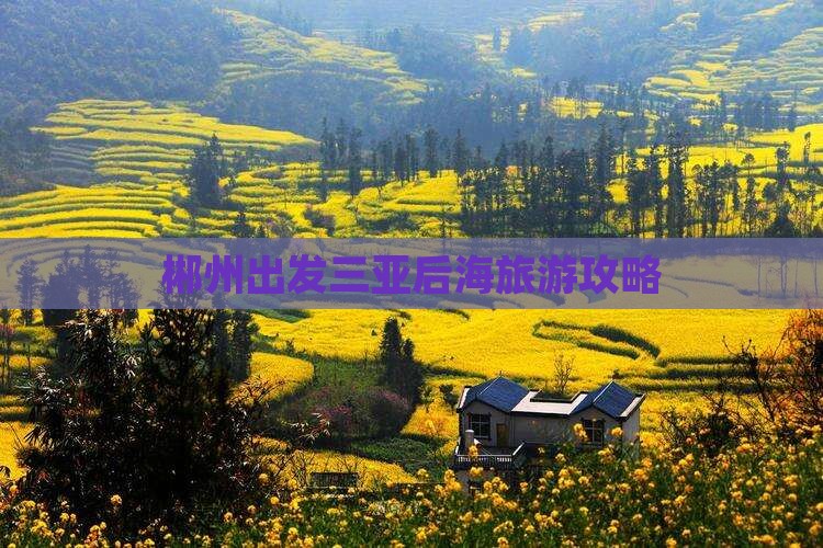 郴州出发三亚后海门票