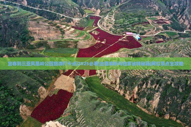 宜春出发三亚凤凰岭公园旅游打卡点