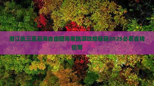 潜江去三亚后海自由团