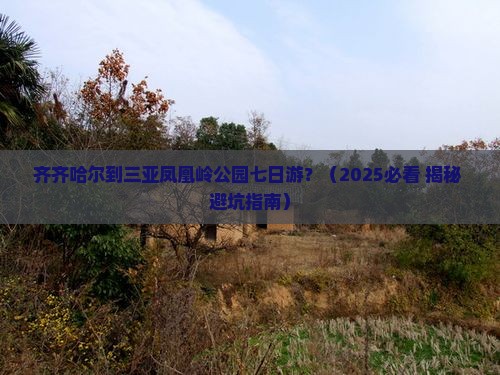 齐齐哈尔出发三亚凤凰岭公园七日游