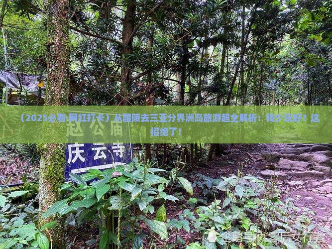 醴陵出发三亚分界洲岛旅游网红地点