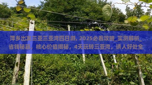 萍乡出发三亚三亚湾四日游