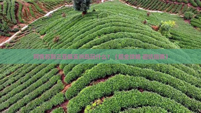阿克苏去三亚蜈支洲岛哪里玩