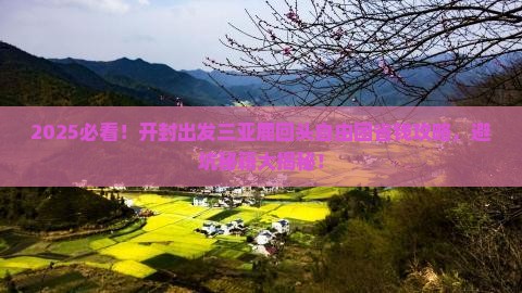 开封出发三亚鹿回头自由团