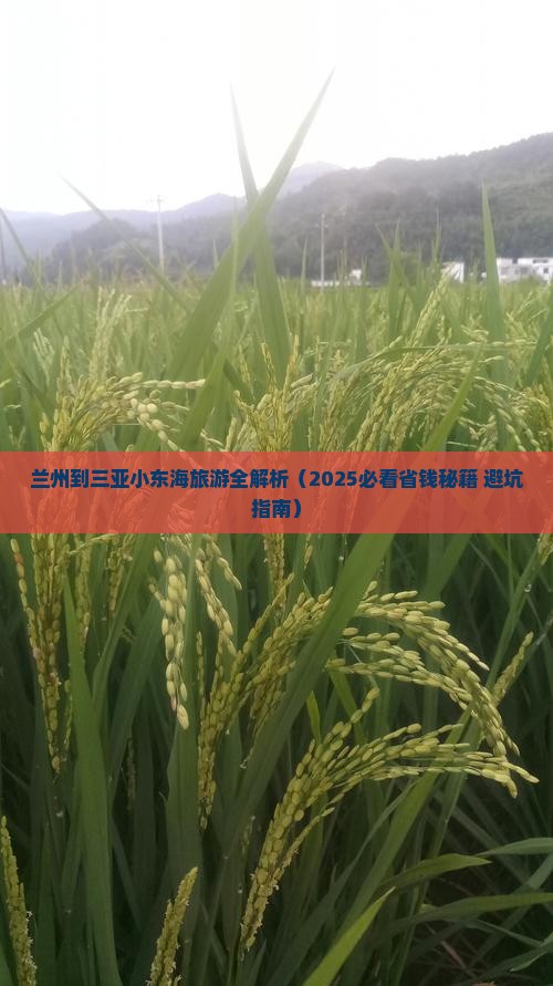 兰州前往三亚小东海攻略