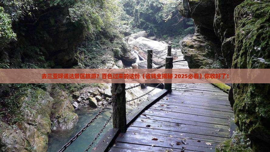 百色去三亚呀诺达景区旅游小吃